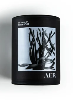 SUSAN BIJL Geuren^07, Orris Root - Aer