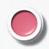 SUSAN BIJL Make-Up^Dianthus - Manasi 7