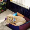 SUSAN BIJL Honden (En Katten)^Dogs Bed, Large - Hay